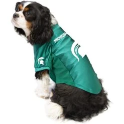 Littlearth NCAA Stretch Dog & Cat Jersey, Michigan State Spartans 11 Littlearth NCAA Stretch Dog & Cat Jersey, Michigan State Spartans -Blue Buffalo Shop 284096 PT2. AC SS1800 V1619541731