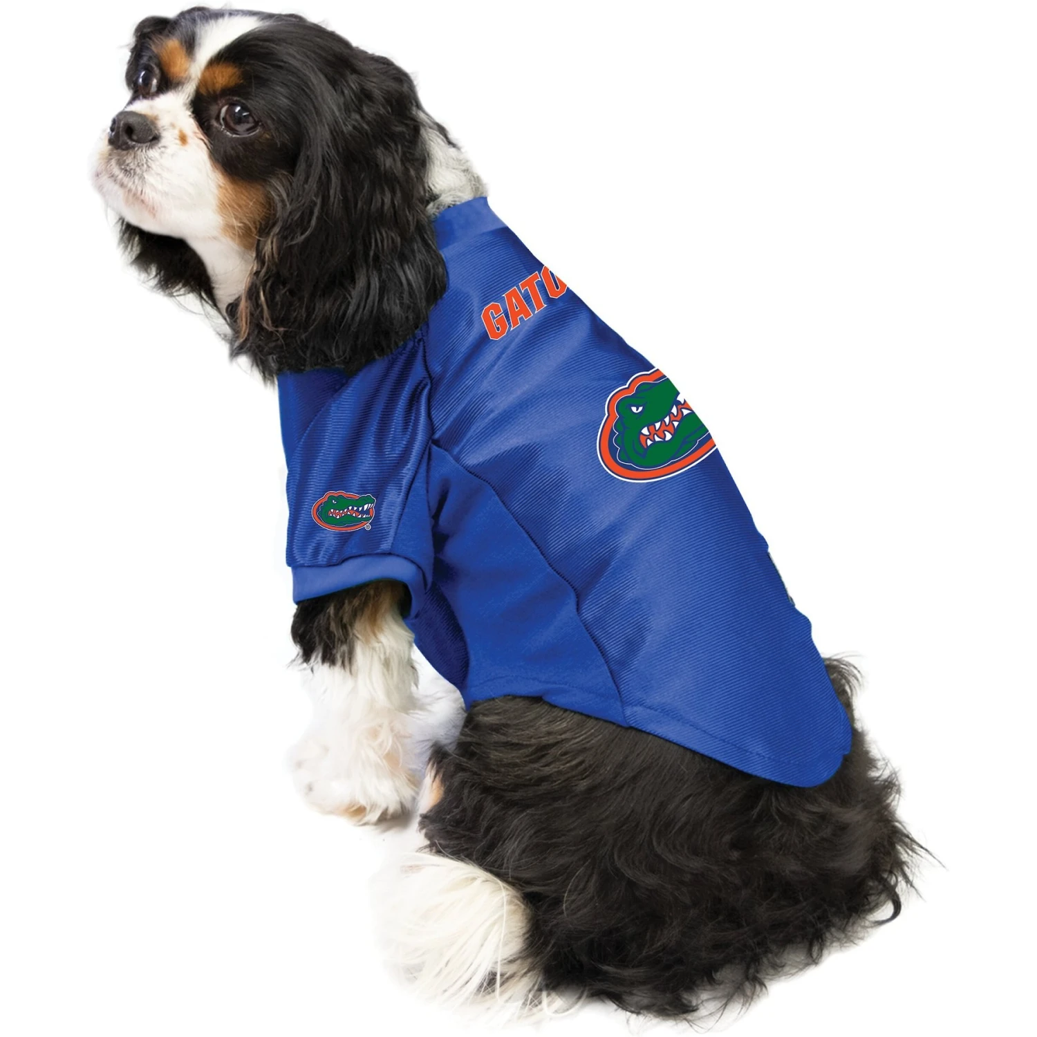 Littlearth NCAA Stretch Dog & Cat Jersey, Florida Gators 5 Littlearth NCAA Stretch Dog & Cat Jersey, Florida Gators - Image 3