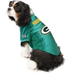 Littlearth NFL Stretch Dog & Cat Jersey, Green Bay Packers -Blue Buffalo Shop 284210 PT2. AC SS1800 V1619593640