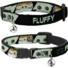 Buckle-Down Star Wars The Child Personalized Breakaway Cat Collar With Bell 1 Buckle-Down Star Wars The Child Personalized Breakaway Cat Collar With Bell -Blue Buffalo Shop 285776 MAIN. AC SS1800 V1619741241