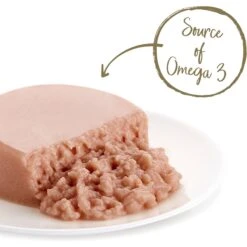 Applaws Mousse Ocean Fish Grain-Free Wet Cat Food, 2.47-oz Can, Case Of 24 10 Applaws Mousse Ocean Fish Grain-Free Wet Cat Food, 2.47-oz Can, Case Of 24 -Blue Buffalo Shop 286453 PT1. AC SS1800 V1658152760