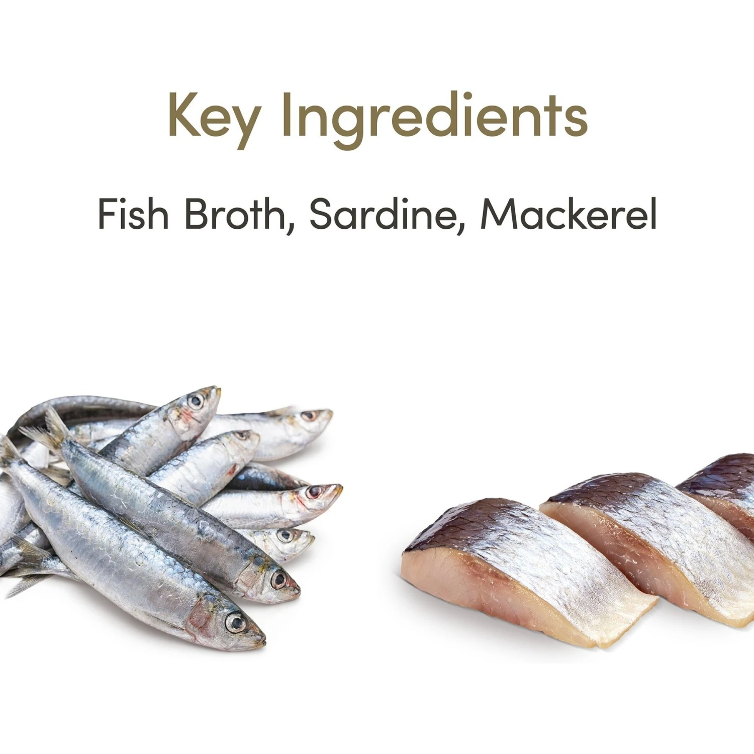 Applaws Mousse Ocean Fish Grain-Free Wet Cat Food, 2.47-oz Can, Case Of 24 5 Applaws Mousse Ocean Fish Grain-Free Wet Cat Food, 2.47-oz Can, Case Of 24 - Image 3