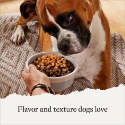 American Journey Savory Toppers Chicken Recipe In Gravy Grain-Free Dog Food Topper, 3-oz Pouches, Case Of 24 -Blue Buffalo Shop 286955 PT3. AC SS1800 V1628536047