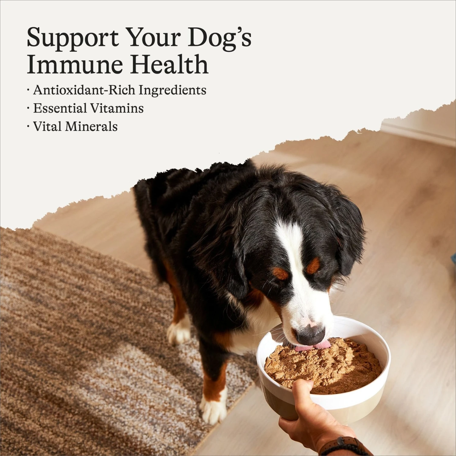 American Journey Chicken & Salmon Recipe Grain-Free Canned Dog Food 4 American Journey Chicken & Salmon Recipe Grain-Free Canned Dog Food - Image 2