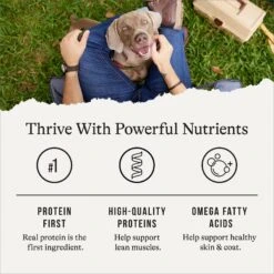 American Journey Chicken & Salmon Recipe Grain-Free Canned Dog Food 16 American Journey Chicken & Salmon Recipe Grain-Free Canned Dog Food -Blue Buffalo Shop 287341 PT5. AC SS1800 V1696608383