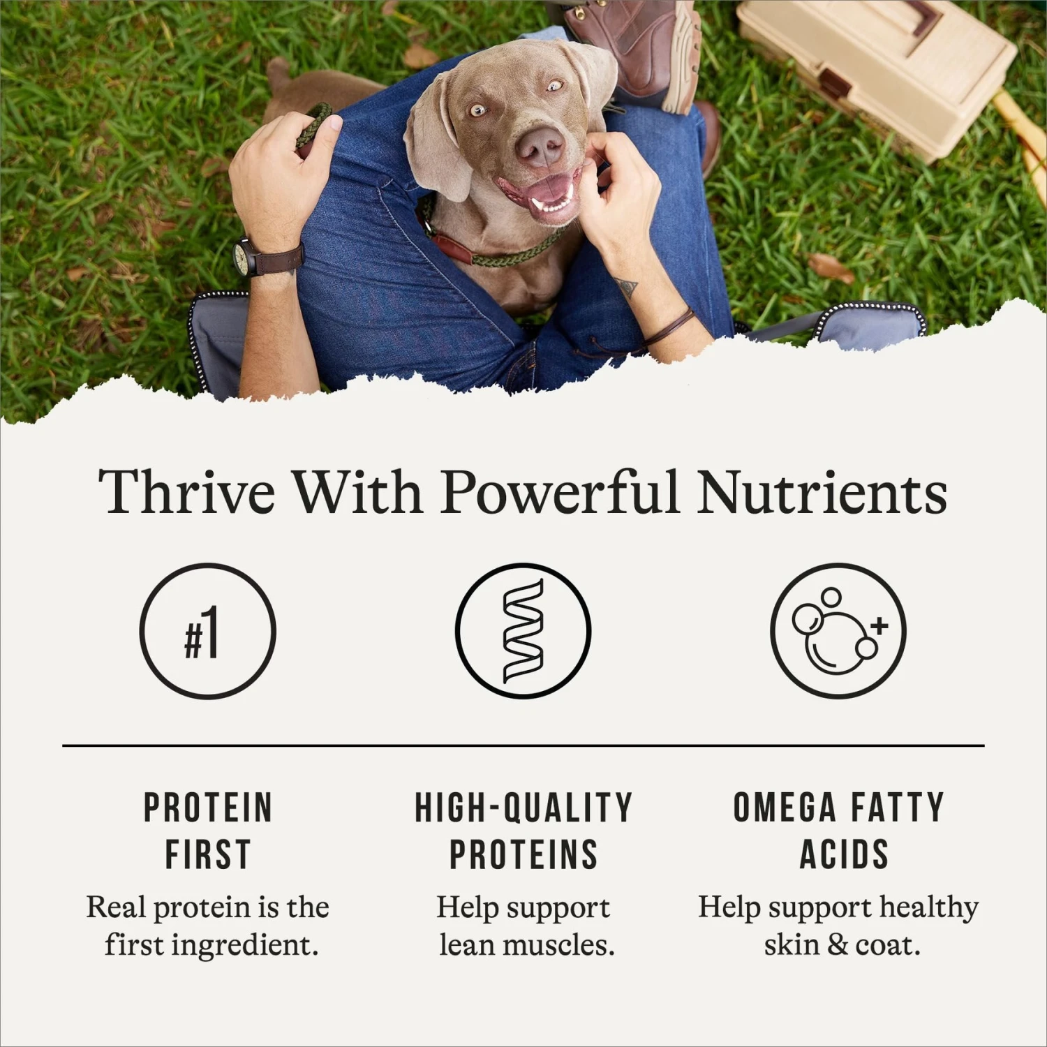 American Journey Chicken & Salmon Recipe Grain-Free Canned Dog Food 8 American Journey Chicken & Salmon Recipe Grain-Free Canned Dog Food - Image 6