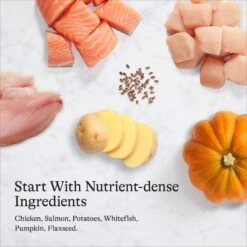 American Journey Chicken & Salmon Recipe Grain-Free Canned Dog Food 17 American Journey Chicken & Salmon Recipe Grain-Free Canned Dog Food -Blue Buffalo Shop 287341 PT6. AC SS1800 V1696608323