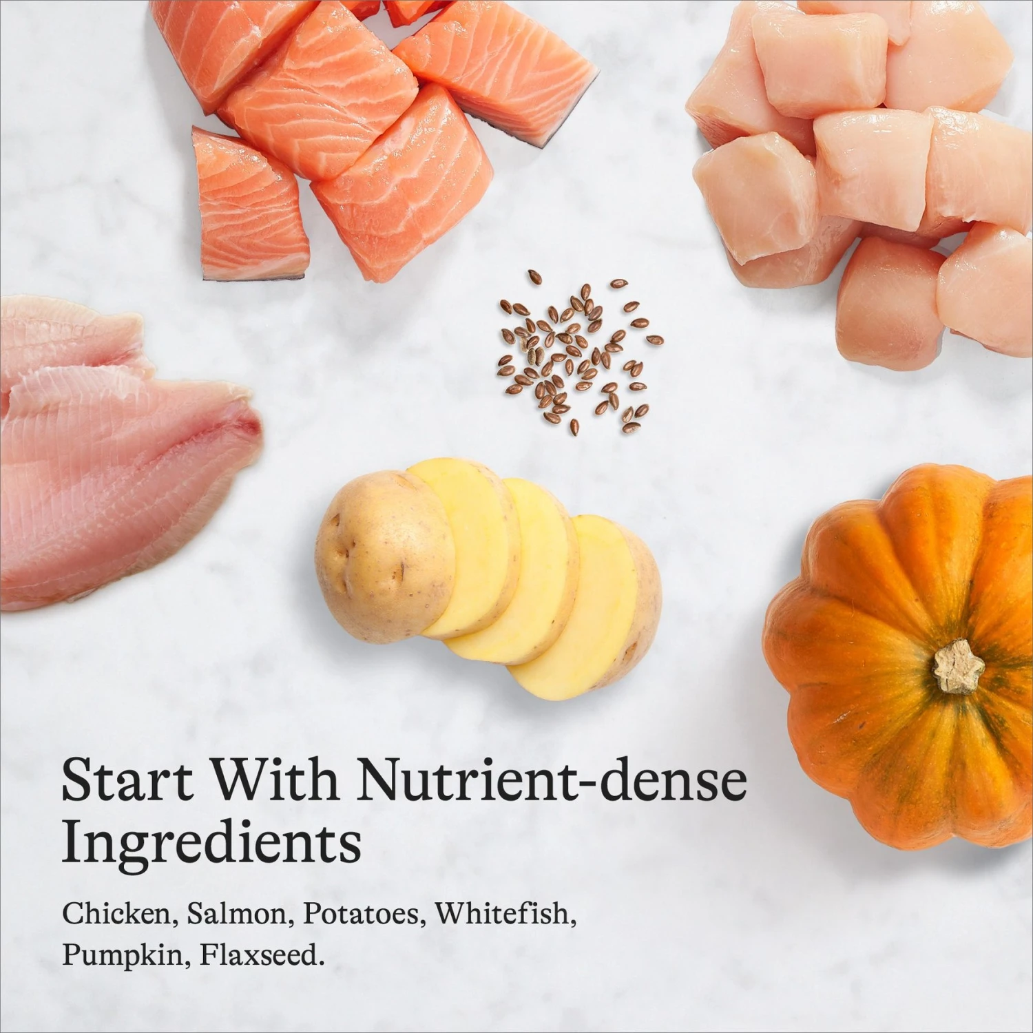 American Journey Chicken & Salmon Recipe Grain-Free Canned Dog Food 9 American Journey Chicken & Salmon Recipe Grain-Free Canned Dog Food - Image 7