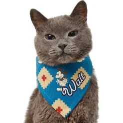 Disney Mickey Mouse Southwest Pattern Personalized Dog & Cat Bandana 17 Disney Mickey Mouse Southwest Pattern Personalized Dog & Cat Bandana -Blue Buffalo Shop 290150 PT7. AC SS1800 V1625153575