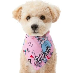 Disney Teeny Princesses Personalized Dog & Cat Bandana -Blue Buffalo Shop 290154 PT6. AC SS1800 V1630429297