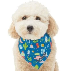 Pixar Toy Story Personalized Dog & Cat Bandana -Blue Buffalo Shop 290162 PT6. AC SS1800 V1625155682