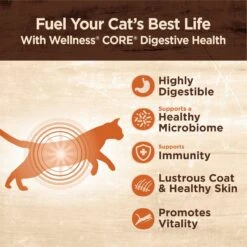Wellness CORE Digestive Health Salmon Pate Recipe Grain-Free Wet Cat Food, 3-oz, Case Of 12 & Wellness CORE Digestive Health Wholesome Grains Salmon & Rice Recipe Dry Cat Food -Blue Buffalo Shop 290196 PT4. AC SS1800 V1620090162
