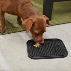 Disney Mickey Silicone Dog & Cat Lick Mat 8 Disney Mickey Silicone Dog & Cat Lick Mat -Blue Buffalo Shop 291437 PT2. AC SS1800 V1633978976