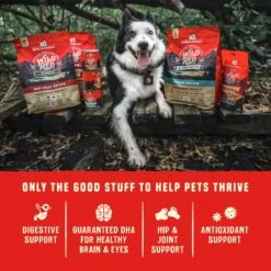 Stella & Chewy's Wild Red Raw Coated Kibble Grain-Free Prairie Recipe Dry Dog Food -Blue Buffalo Shop 291614 PT7. AC SS1800 V1645557094