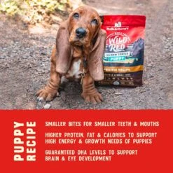 Stella & Chewy's Wild Red Raw Coated Kibble Puppy Grain-Free Prairie Recipe Dry Dog Food -Blue Buffalo Shop 291624 PT6. AC SS1800 V1645585763