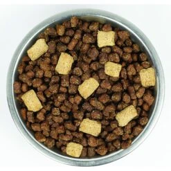 Stella & Chewy's Wild Red Raw Blend Kibble Wholesome Grains Red Meat Recipe Dry Dog Food 9 Stella & Chewy's Wild Red Raw Blend Kibble Wholesome Grains Red Meat Recipe Dry Dog Food -Blue Buffalo Shop 291647 PT4. AC SS1800 V1619849550