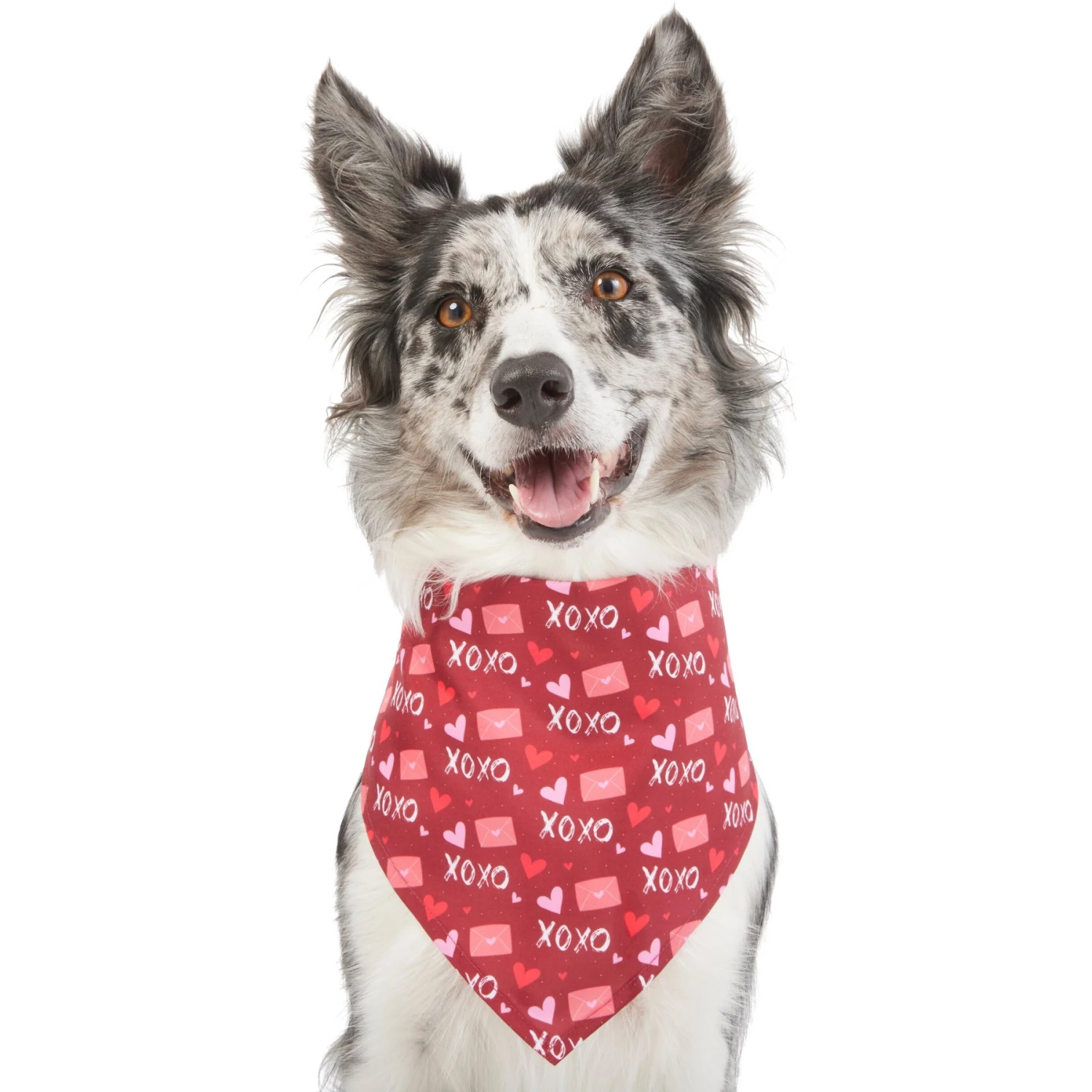 Frisco Love Letters Dog & Cat Bandana 3 Frisco Love Letters Dog & Cat Bandana