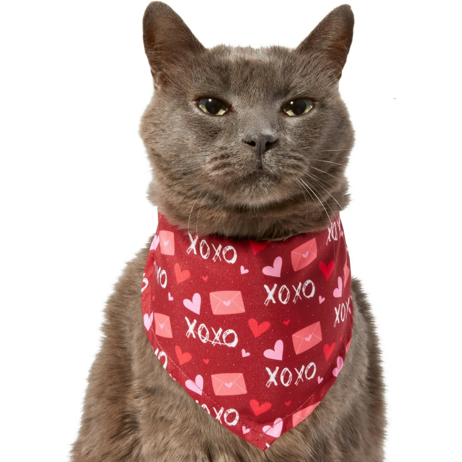Frisco Love Letters Dog & Cat Bandana 5 Frisco Love Letters Dog & Cat Bandana - Image 3