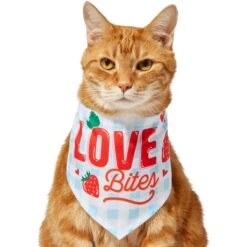 Frisco Love Bites Dog & Cat Bandana -Blue Buffalo Shop 292054 PT2. AC SS1800 V1637268455