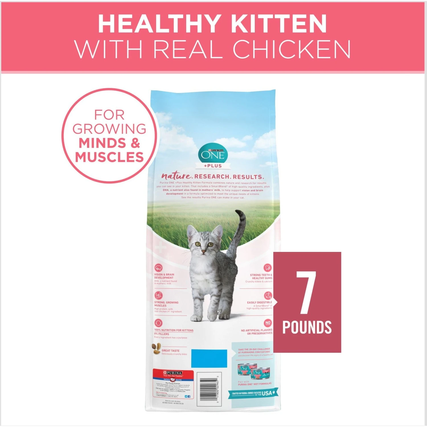 Fancy Feast Tender Feast Variety Pack Canned Kitten Food & Purina ONE +Plus Healthy Kitten Formula Natural Dry Cat Food 9 Fancy Feast Tender Feast Variety Pack Canned Kitten Food & Purina ONE +Plus Healthy Kitten Formula Natural Dry Cat Food - Image 7