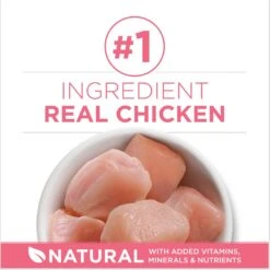Fancy Feast Tender Feast Variety Pack Canned Kitten Food & Purina ONE +Plus Healthy Kitten Formula Natural Dry Cat Food 19 Fancy Feast Tender Feast Variety Pack Canned Kitten Food & Purina ONE +Plus Healthy Kitten Formula Natural Dry Cat Food -Blue Buffalo Shop 292998 PT8. AC SS1800 V1679927720