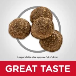 Hill's Science Diet Adult Large Breed Lamb Meal & Brown Rice Dry Dog Food & Hill's Natural Soft Savories With Peanut Butter & Banana Dog Treats -Blue Buffalo Shop 293172 PT3. AC SS1800 V1619977920