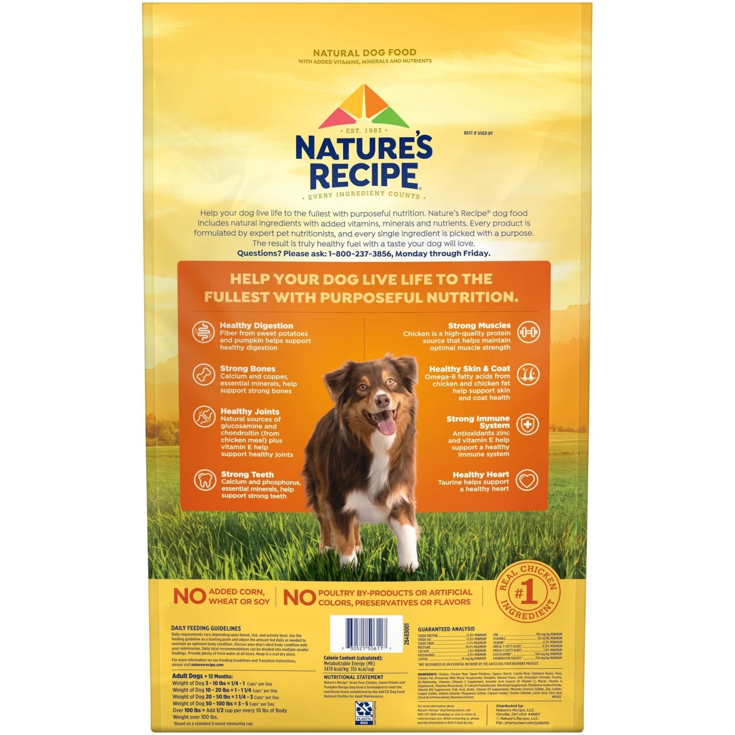 Nature's Recipe Grain-Free Chicken, Sweet Potato & Pumpkin Recipe Dry Dog Food & Nature's Recipe Grain-Free Chicken Recipe In Broth Wet Dog Food 9 Nature's Recipe Grain-Free Chicken, Sweet Potato & Pumpkin Recipe Dry Dog Food & Nature's Recipe Grain-Free Chicken Recipe In Broth Wet Dog Food - Image 7