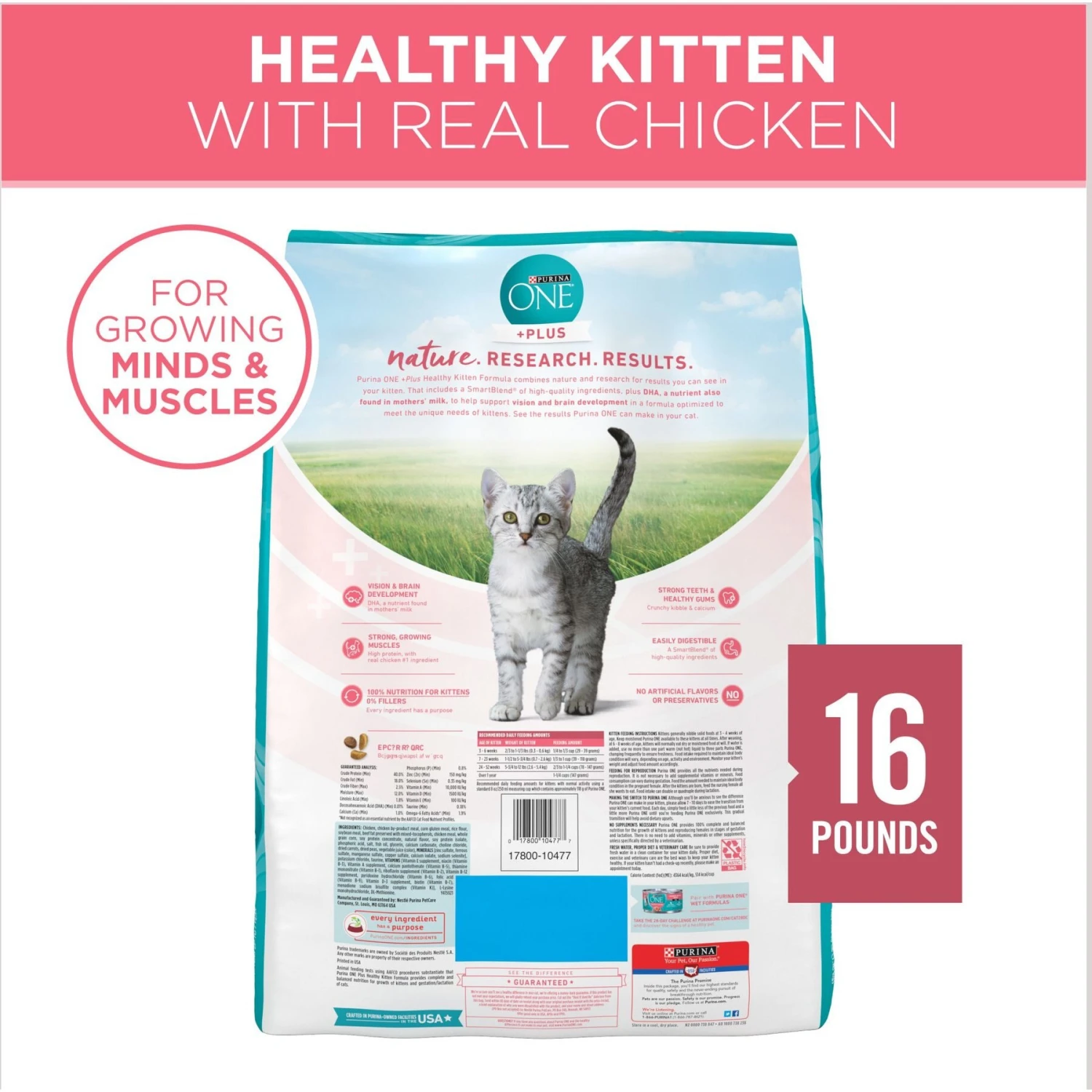 Purina ONE +Plus Healthy Kitten Formula Natural Dry Cat Food & Purina Pro Plan Focus Kitten Favorites Variety Pack Canned Cat Food 5 Purina ONE +Plus Healthy Kitten Formula Natural Dry Cat Food & Purina Pro Plan Focus Kitten Favorites Variety Pack Canned Cat Food - Image 3