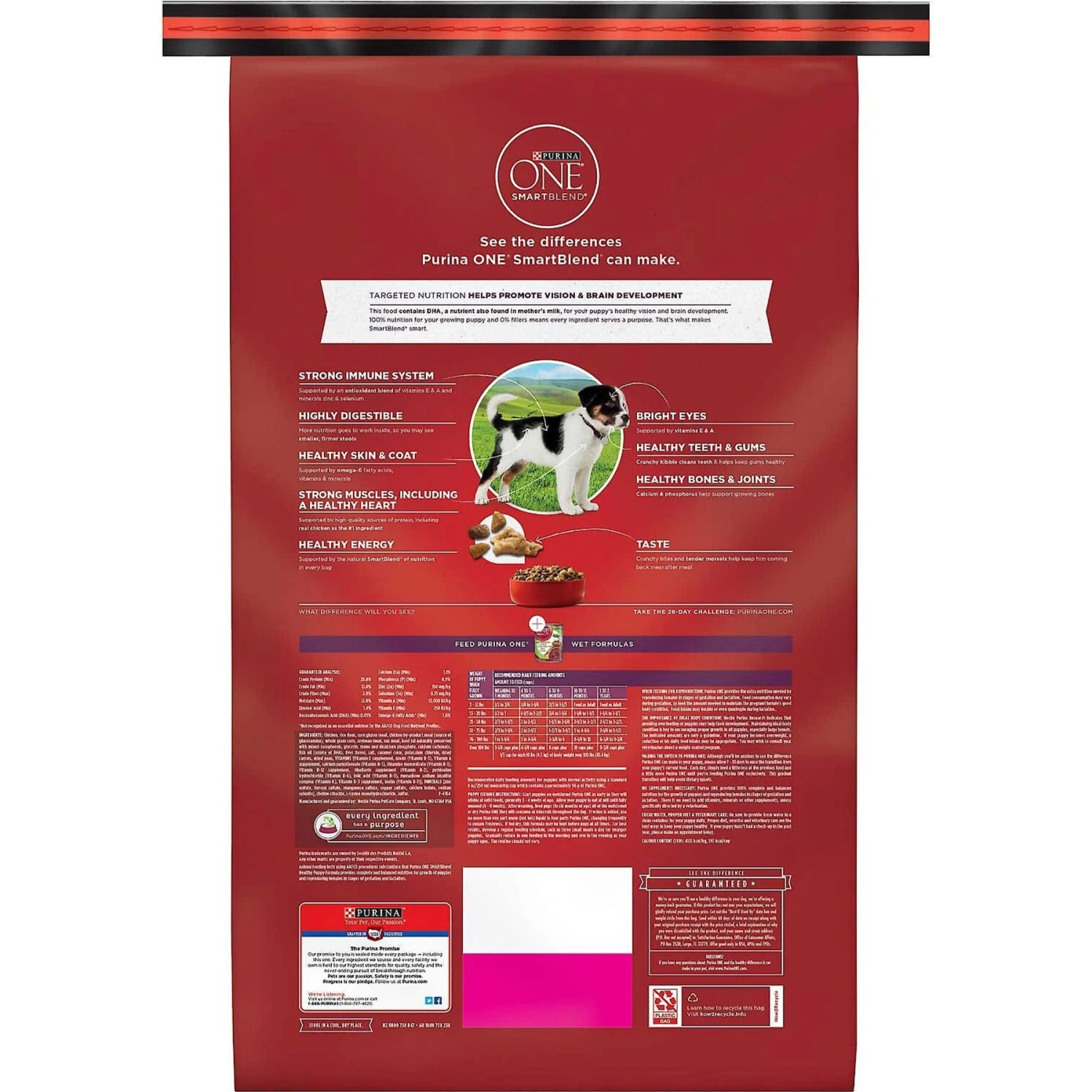 Purina ONE +Plus Natural High Protein Healthy Puppy Formula Dry Puppy Food & Wellness Soft Puppy Bites Lamb & Salmon Recipe Grain-Free Natural Dog Treats 5 Purina ONE +Plus Natural High Protein Healthy Puppy Formula Dry Puppy Food & Wellness Soft Puppy Bites Lamb & Salmon Recipe Grain-Free Natural Dog Treats - Image 3