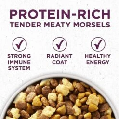 Purina ONE +Plus Natural High Protein Healthy Puppy Formula Dry Puppy Food & Wellness Soft Puppy Bites Lamb & Salmon Recipe Grain-Free Natural Dog Treats 12 Purina ONE +Plus Natural High Protein Healthy Puppy Formula Dry Puppy Food & Wellness Soft Puppy Bites Lamb & Salmon Recipe Grain-Free Natural Dog Treats -Blue Buffalo Shop 293538 PT3. AC SS1800 V1620089536