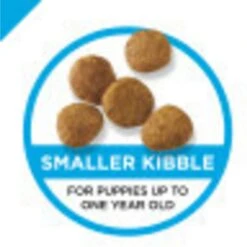 Purina Pro Plan High Protein Chicken & Rice Formula Dry Puppy Food & Wellness Soft Puppy Bites Lamb & Salmon Recipe Grain-Free Natural Dog Treats -Blue Buffalo Shop 293654 PT3. AC SS1800 V1620245833