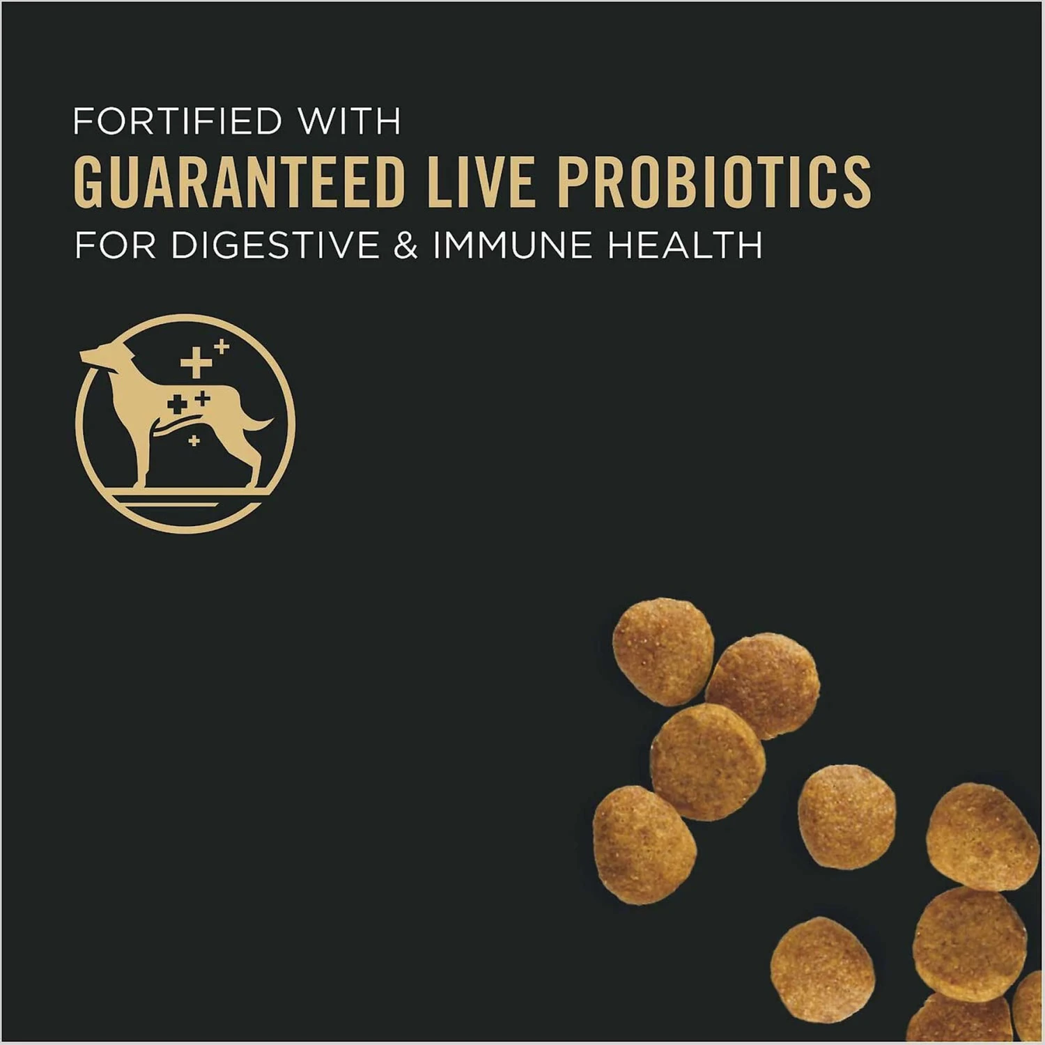 Purina Pro Plan High Protein DHA Lamb & Rice Formula Puppy Food & Wellness Soft Puppy Bites Lamb & Salmon Recipe Grain-Free Natural Dog Treats 6 Purina Pro Plan High Protein DHA Lamb & Rice Formula Puppy Food & Wellness Soft Puppy Bites Lamb & Salmon Recipe Grain-Free Natural Dog Treats - Image 4