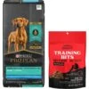 Purina Pro Plan High Protein Chicken & Rice Formula Large Breed Dry Puppy Food & American Journey Beef Recipe Grain-Free Soft & Chewy Training Bits Dog Treats -Blue Buffalo Shop 293666 MAIN. AC SS1800 V1657656666