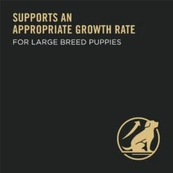 Purina Pro Plan High Protein Chicken & Rice Formula Large Breed Dry Puppy Food & American Journey Beef Recipe Grain-Free Soft & Chewy Training Bits Dog Treats -Blue Buffalo Shop 293666 PT8. AC SS1800 V1658191307