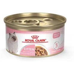 Royal Canin Feline Health Nutrition Kitten Spayed/Neutered Dry Cat Food & Royal Canin Feline Health Nutrition Thin Slices In Gravy Wet Kitten Food -Blue Buffalo Shop 293766 PT1. AC SS1800 V1678973971
