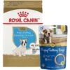 Royal Canin Breed Health Nutrition French Bulldog Puppy Dry Dog Food & N-Bone Puppy Teething Ring Chicken Flavor Dog Treats 1 Royal Canin Breed Health Nutrition French Bulldog Puppy Dry Dog Food & N-Bone Puppy Teething Ring Chicken Flavor Dog Treats -Blue Buffalo Shop 293778 MAIN. AC SS1800 V1620084725