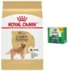 Royal Canin Breed Health Nutrition Golden Retriever Adult Dry Dog Food & Greenies Large Dental Dog Treats -Blue Buffalo Shop 293784 MAIN. AC SS1800 V1620087742