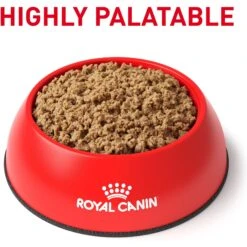 Royal Canin Veterinary Diet Adult Gastrointestinal Low Fat Loaf Canned Dog Food & Royal Canin Veterinary Diet Adult Gastrointestinal Low Fat Dry Dog Food -Blue Buffalo Shop 293818 PT3. AC SS1800 V1694097921