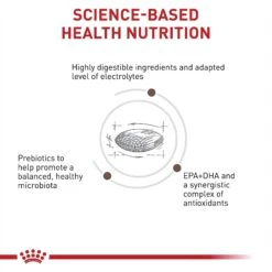 Royal Canin Veterinary Diet Adult Gastrointestinal Low Fat Loaf Canned Dog Food & Royal Canin Veterinary Diet Adult Gastrointestinal Low Fat Dry Dog Food -Blue Buffalo Shop 293818 PT7. AC SS1800 V1694097921