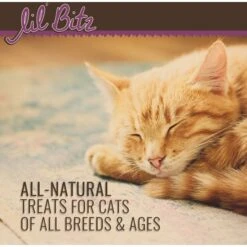Lil' Bitz Chicken & Liver Cat Treats 14 Lil' Bitz Chicken & Liver Cat Treats -Blue Buffalo Shop 294929 PT4. AC SS1800 V1686858078