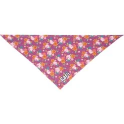 Frisco Fall Floral Personalized Dog & Cat Bandana 14 Frisco Fall Floral Personalized Dog & Cat Bandana -Blue Buffalo Shop 296990 PT3. AC SS1800 V1627654656