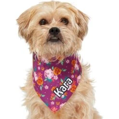 Frisco Fall Floral Personalized Dog & Cat Bandana 17 Frisco Fall Floral Personalized Dog & Cat Bandana -Blue Buffalo Shop 296990 PT6. AC SS1800 V1627654305