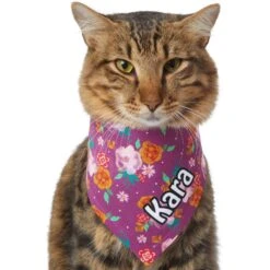 Frisco Fall Floral Personalized Dog & Cat Bandana 18 Frisco Fall Floral Personalized Dog & Cat Bandana -Blue Buffalo Shop 296990 PT7. AC SS1800 V1627653979