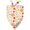 Frisco Pumpkin Spice Personalized Dog & Cat Bandana -Blue Buffalo Shop 296998 MAIN. AC SS1800 V1627653400