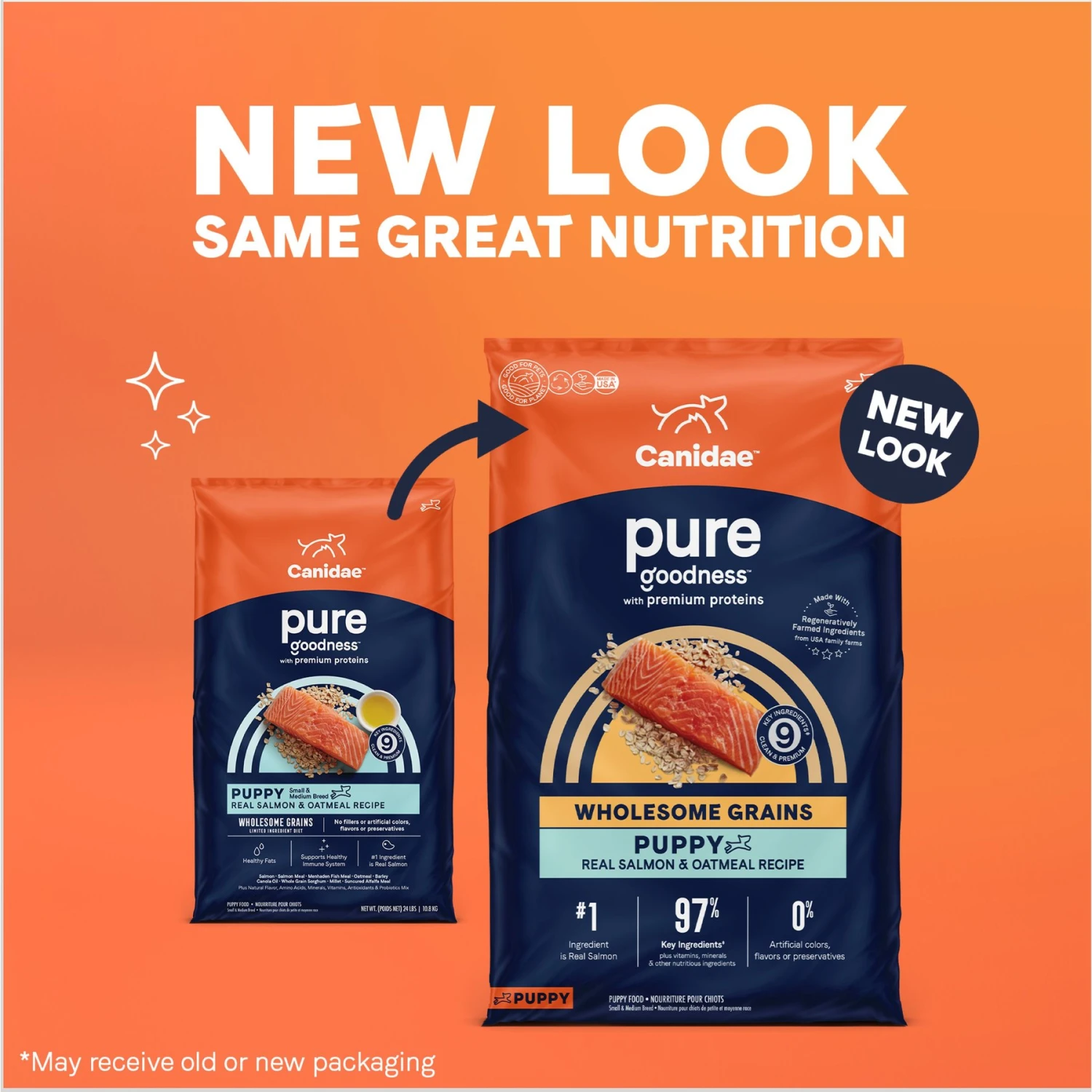 CANIDAE PURE With Wholesome Grains Limited Ingredient Real Salmon & Oatmeal Recipe Puppy Dry Dog Food 4 CANIDAE PURE With Wholesome Grains Limited Ingredient Real Salmon & Oatmeal Recipe Puppy Dry Dog Food - Image 2
