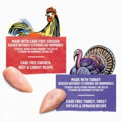 Purina Beyond Chicken & Turkey Variety Pack Wet Cat Food, 3-oz Can, Case Of 12 -Blue Buffalo Shop 297540 PT2. AC SS1800 V1699369644