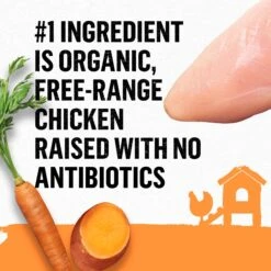 Purina Beyond Organic Chicken Variety Pack Pate Wet Cat Food, 3-oz Can, Case Of 6 -Blue Buffalo Shop 297542 PT4. AC SS1800 V1700161837