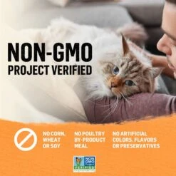 Purina Beyond Organic Chicken Variety Pack Pate Wet Cat Food, 3-oz Can, Case Of 6 -Blue Buffalo Shop 297542 PT7. AC SS1800 V1700161787