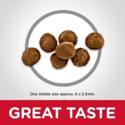 Hill's Science Diet Kitten Healthy Cuisine Tender Chicken & Rice Medley Canned Cat Food & Hill's Science Diet Indoor Kitten Dry Cat Food -Blue Buffalo Shop 298098 PT6. AC SS1800 V1621287765