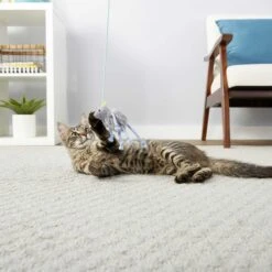 PureBites Chicken Breast Freeze-Dried Raw Cat Treats & Frisco Bouncy Mouse Plush Teaser Cat Toy With Catnip 13 PureBites Chicken Breast Freeze-Dried Raw Cat Treats & Frisco Bouncy Mouse Plush Teaser Cat Toy With Catnip -Blue Buffalo Shop 298414 PT5. AC SS1800 V1623194253